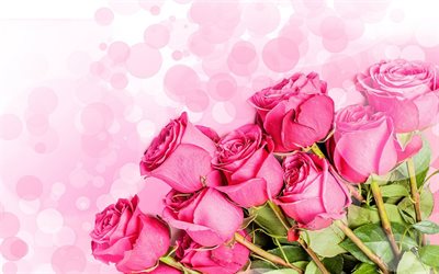 polska rosor, en bukett rosor, möjligt, bilder på rosor, vackra rosor, ros, rosa rosor, bilder på polska rosor