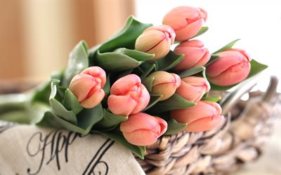 a bouquet of tulips, tulips, pink tulips