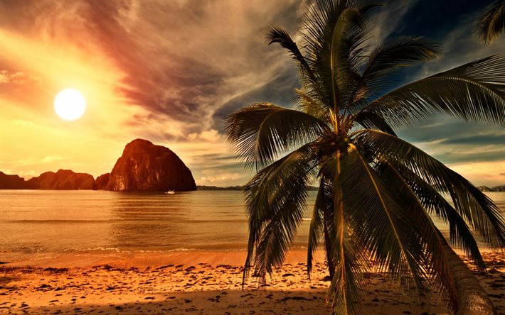 la playa, tropical de la isla, palma, puesta de sol, a la orilla del mar