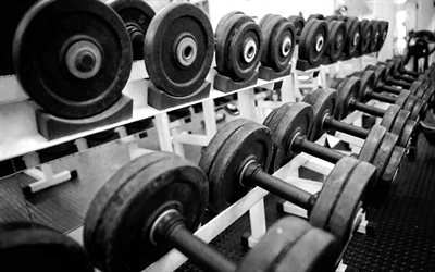 haltères, salle de gym, musculation, poids