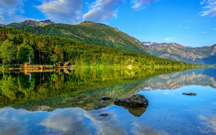 montanha, o lago, floresta, verão, eslovênia, bohinj