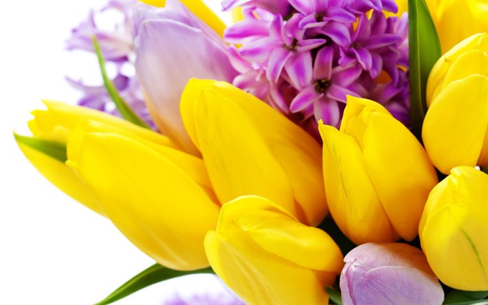 um buquê de tulipas, flores, tulipas, tulipas amarelas