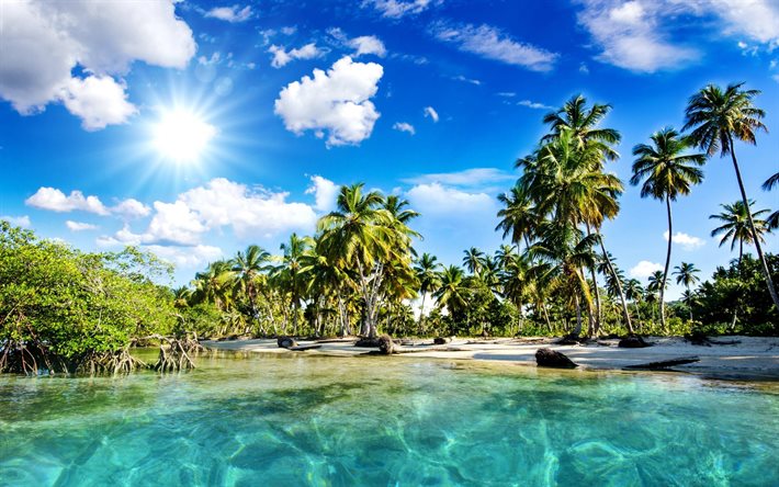 tropik ada, okyanus, palmiye ağaçları, Maldivler