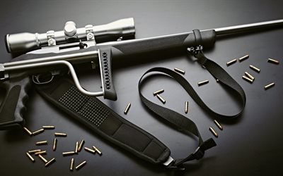 반자동 소총, 기, 저격한 가격