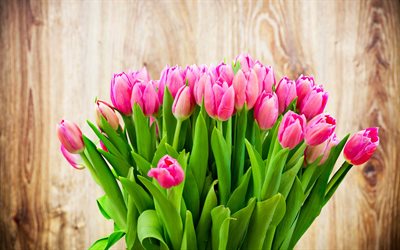 a bouquet of flowers, pink tulips, tulips