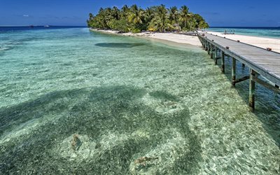 الصيف, المياه واضحة, المحيط, جزر المالديف, الجزيرة, الحرارة
