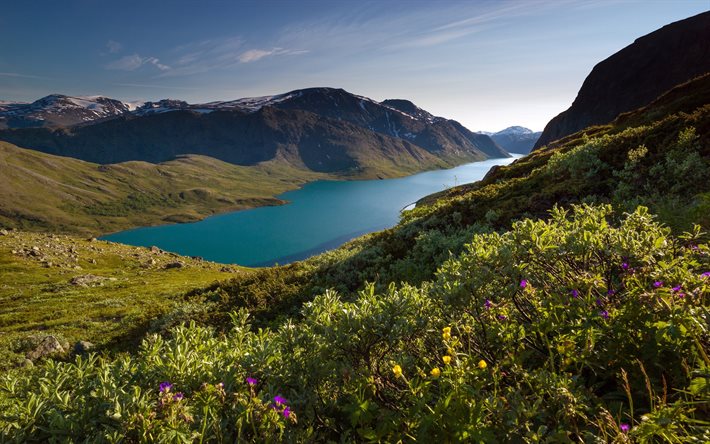verão, montanhas, noruega, fiorde, lago, céu claro
