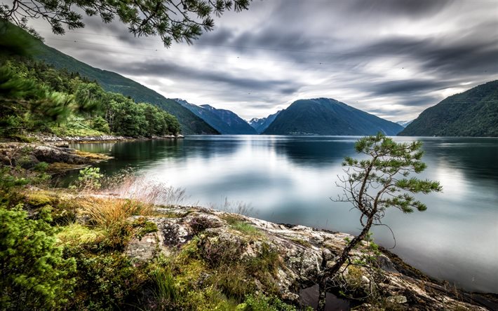 Sognefjord, lago, bosque, montaña, Dragsviki, Noruega