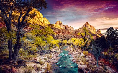 Virgin River, autumn, mountain river, evening, Zion, sunset, yellow trees, mountain landscape, canyon, Zion National Park, Utah, USA
