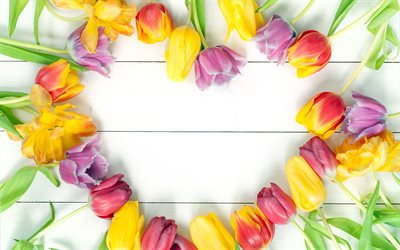 colorful tulips frame, 4k, spring, International Womens Day, 8 March, IWD, floral frames, tulips frames, heart frames