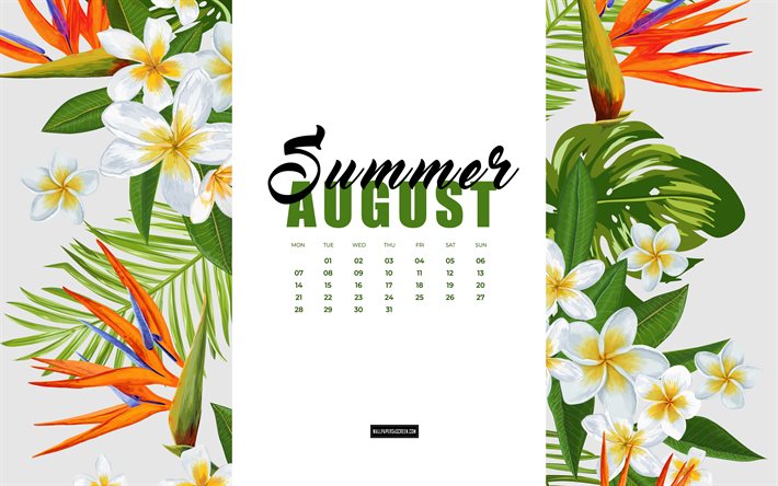 4k, augusti kalender 2023, blommig akvarell sommar bakgrund, 2023 sommarkalendrar, akvarell tropiska växter, augusti 2023 kalender, 2023 koncept, augusti, sommar bakgrund