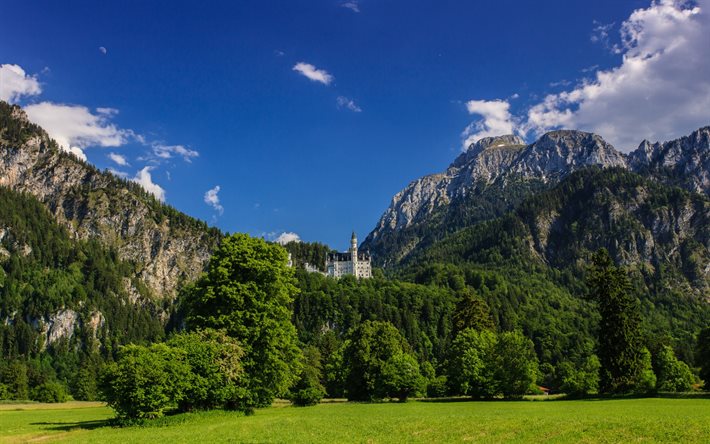 montanha, floresta, castelo, castelo de neuschwanstein, alpes da baviera, alemanha