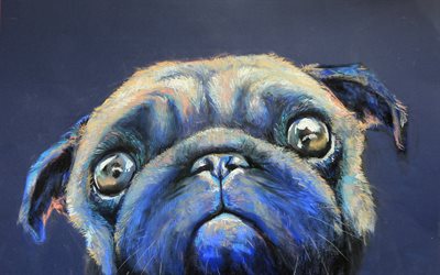 pug, dogs, art, creative