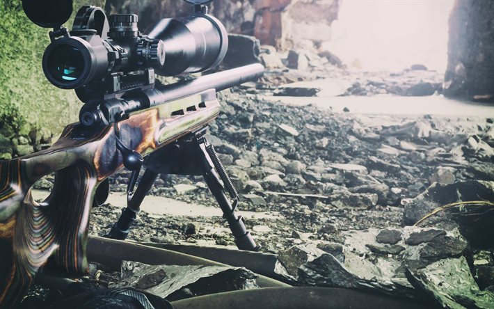 sniper rifle, 광학 시, 바, gorge