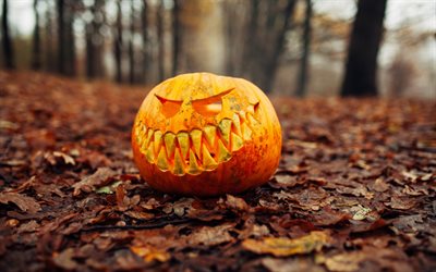 halloween, autumn, pumpkin with a face, autumn leaves, make pumpkins for halloween, park, forest, halloween holiday