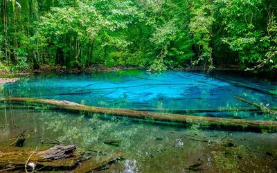 Thailand, Emerald Lake, hot springs, forest, woods, summer