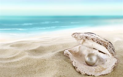 shell, perla, spiaggia, sabbia, oceano, isole tropicali, gioielli