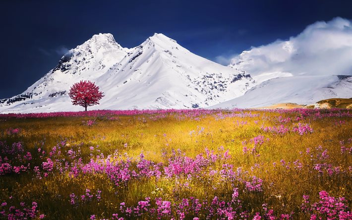 autunno, montagne, campi, fiori rosa, Alpi