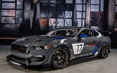 Ford Mustang GT4, 2016, supercars, gris mustang