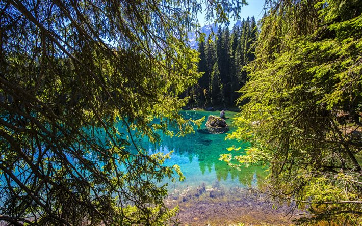 Lake Carezza, forest, summer, lakes, Italy