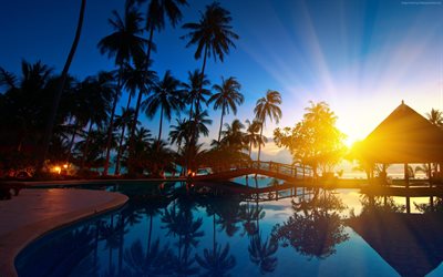 solnedgång, resort, pool, thailand, hotell, palmer