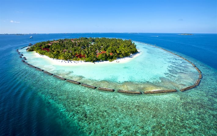 सागर, खजूर के पेड़, उष्णकटिबंधीय द्वीप, मालदीव, कुरुमबा