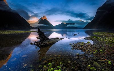 o fiorde, manhã, alvorecer, rio, montanhas, rocha, nova zelândia, ilha do sul, fiordland, milford sound, piopiotahi