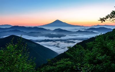 dawn, mountains, forest, hills, fuji, japan