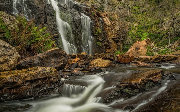el mackenzie falls, rocas, piedras, bosque, cascada, australia, victoria