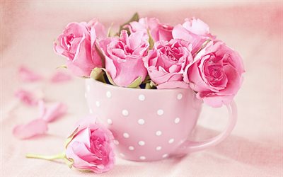 분홍색 roses, 장미의 꽃다발, 미, 꽃다발, 폴란드 장미