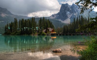 montañas, bosque, árboles, lago hermoso, canadá, lake louise, alberta