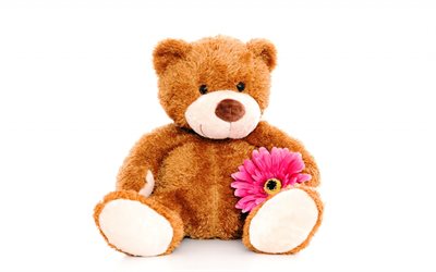 orso, giocattolo, teddy bear