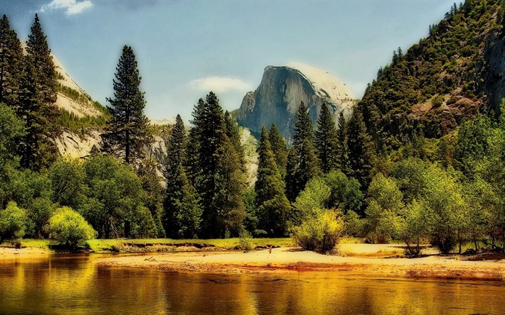 pine, forest, yosemite, mountains, national park, river, the sierra nevada
