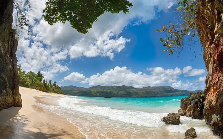 해변, 열대, 야자수, tropical island, 팔미