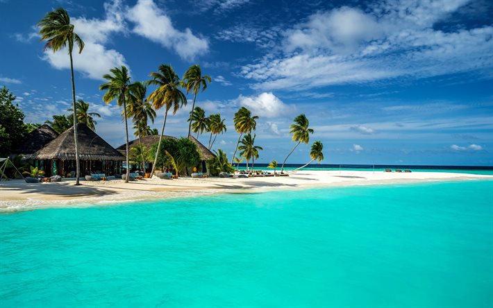 plaj, Maldivler, tropik ada, palmiye ağaçları, okyanus, bungalov