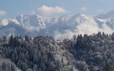 invierno, gori, bosque, transilvania, rumania, los cárpatos, las montañas