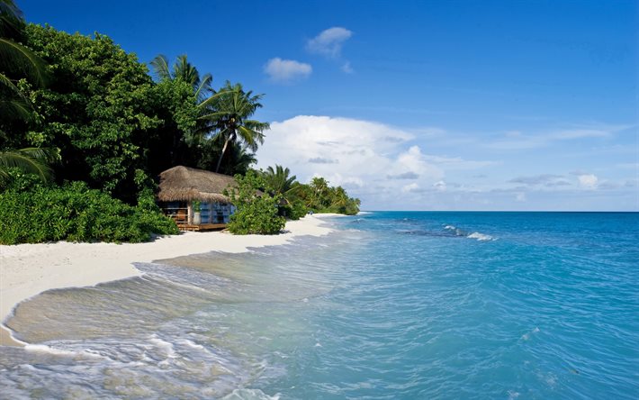 el océano, isla tropical, la playa, bungalow, hotel kuramathi, maldivas