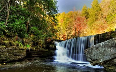 黄色の木, 森林, 滝, 秋, 秋の景観