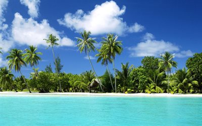 palmut, saari, valtameri, sininen, loput, bungalow