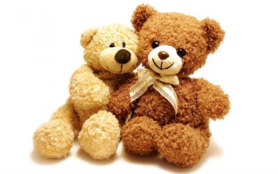the cubs, teddy bears, bear, plush toy