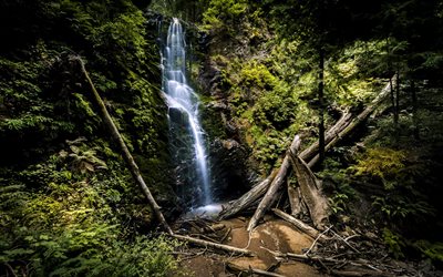 waterfall, beautiful places, forest, jungle, berry creek falls, california