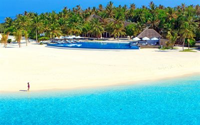 바, 야자수, 하얀 모래, 몰디브, 해변, 열대, 야외 수영장