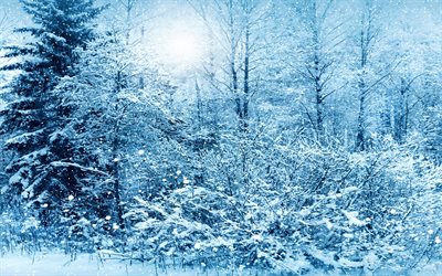 paesaggio invernale, la neve, l'inverno, foresta, inverno, paesaggio