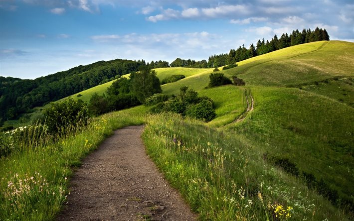 en verano, la hierba verde, los verdes, colinas, sendero