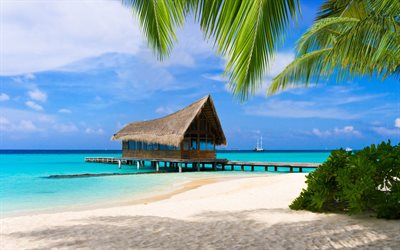 el mar, la arena, bungalow, las maldivas, la playa