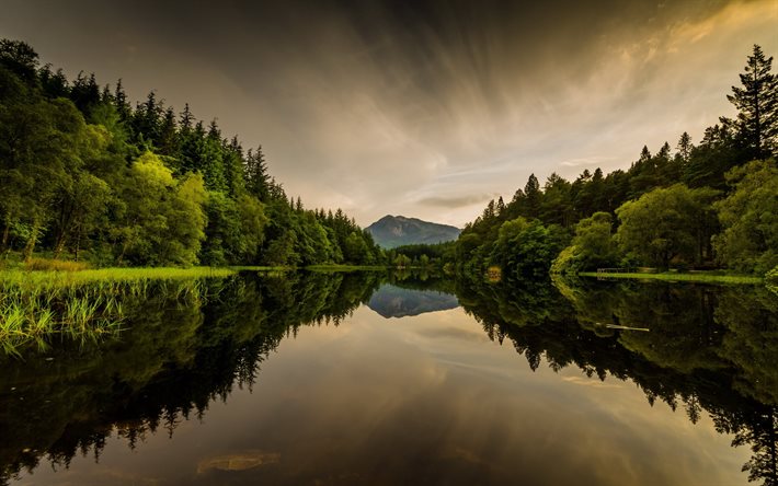 vihreä metsä, järvi, kauneus, luonto, skotlanti, glencoe, lohan