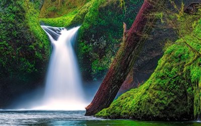 river, gorge, colombia, panchboul, waterfall, greens, the lake, forest, oregon