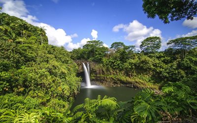 cachoeira, o lago, a vida selvagem, havaí, arco-íris, floresta tropical