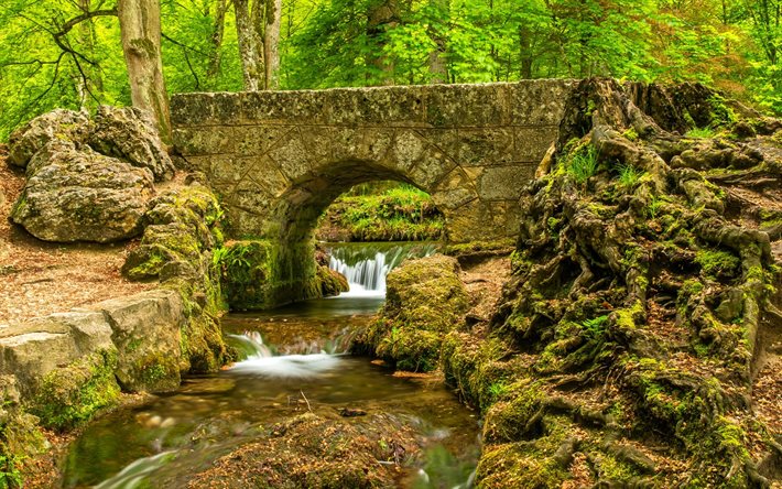 arroyo, puente de piedra, bosque, parque, río