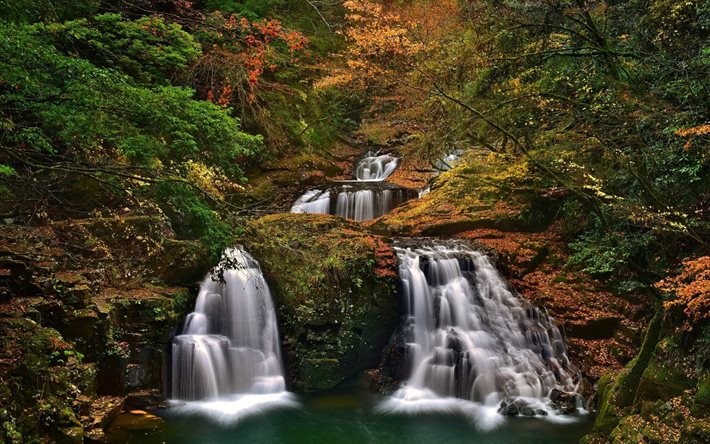 일본, nabari, 폭포, 숲, 자연